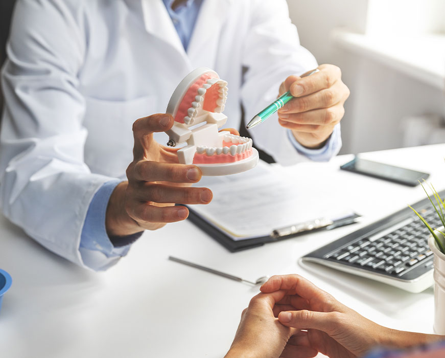 The image shows a dental professional holding up a model of a human mouth for examination, with the focus on the teeth and gums, while another person is seated in front of them, possibly receiving dental care or advice.
