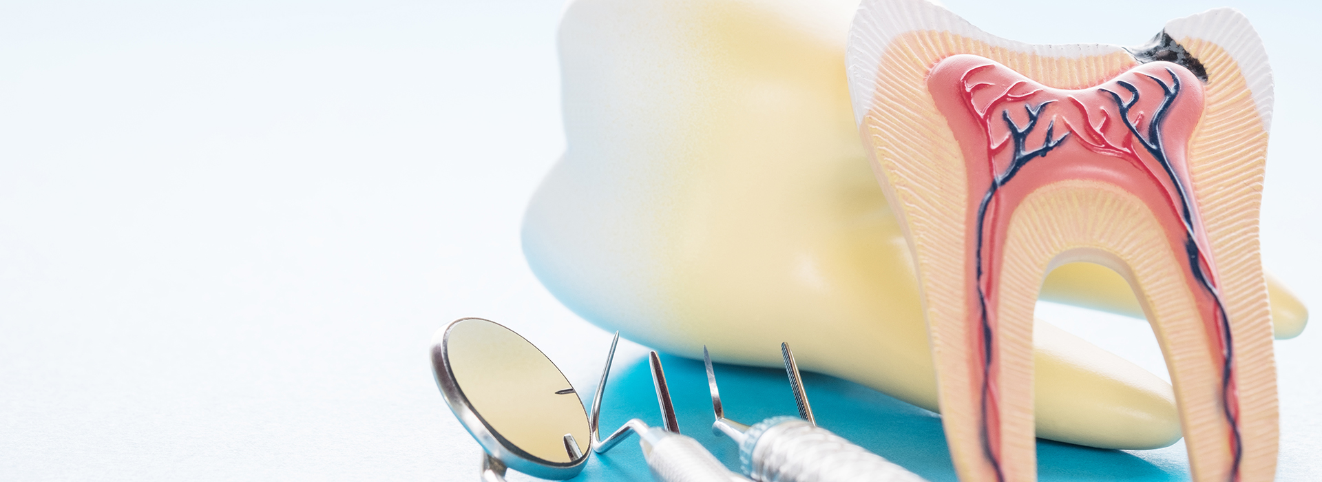 The image shows a close-up of a toothbrush with toothpaste and a dental model, set against a blurred background.